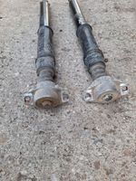 Peugeot 307 Rear shock absorber/damper 