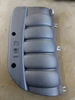 Mercedes-Benz E W211 Copri motore (rivestimento) A6470100167