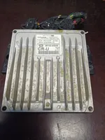 KIA Carnival Sterownik / Moduł ECU 391024X520