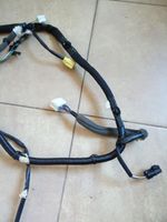 Renault Kadjar Front door wiring loom 241251894R