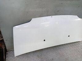 Fiat Ducato Engine bonnet/hood 