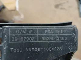 Opel Corsa F Vaihteenvalitsimen verhoilu 9829543480