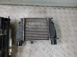 Nissan Juke I F15 Set del radiatore 