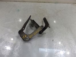 Ford C-MAX I Engine bonnet/hood hinges 