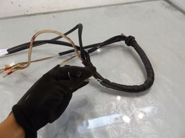 Casalini M10 Faisceau de câbles hayon de coffre 