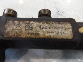 Peugeot 207 Kraftstoffverteiler Einspritzleiste Verteilerrohr 9685297580