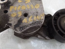 Citroen C3 Picasso Tendicinghia generatore/alternatore 