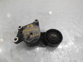 Citroen C3 Picasso Tendicinghia generatore/alternatore 