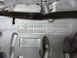 Audi A3 S3 8P Copri motore (rivestimento) 03L103925B