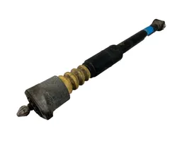 Volkswagen PASSAT B5.5 Rear shock absorber/damper 814901556276