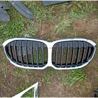 BMW 1 F40 Atrapa chłodnicy / Grill 7450957