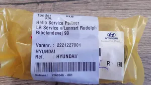 Hyundai Santa Fe Valvola 2221227001