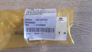 Hyundai Santa Fe Valve 2221227001