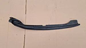 Volvo V60 Front door rubber seal 31299957