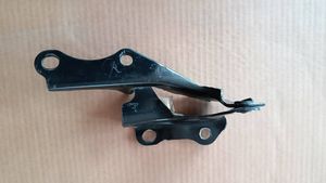 Toyota Camry Engine bonnet/hood hinges TY320ALL