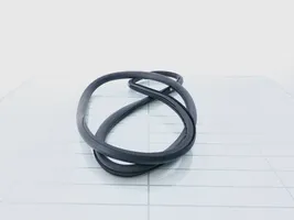 Opel Insignia A Rear door rubber seal (on body) 