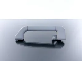 Volkswagen Touareg I Front interior roof grab handle 