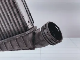 Volkswagen Phaeton Prowadnica powietrza intercoolera 038906051C