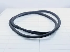 Opel Insignia A Front door rubber seal 