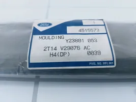 Ford Connect Apdaila galinių durų (moldingas) 