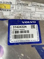 Volvo XC60 Guarnizione in gomma portiera anteriore 31424324
