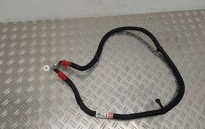 Tesla Model X Cable positivo (batería) 103688500E