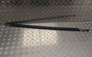 Toyota Yaris Front door glass trim molding 