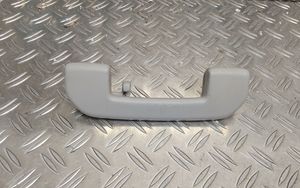 Toyota Proace Haltegriff hinten 