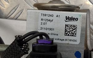 Citroen C4 III e-C4 Valvola ad espansione dell’aria condizionata (A/C) T591240