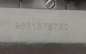 Citroen C4 III e-C4 Muu sisätilojen osa 9831578780