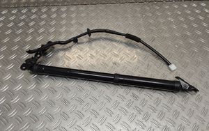 Toyota RAV 4 (XA40) Ammortizzatore portellone posteriore/bagagliaio 6892042042