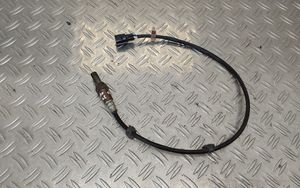 Toyota RAV 4 (XA20) Sonde lambda 8946542090