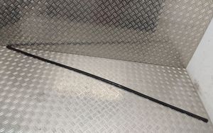 Toyota C-HR Copertura modanatura barra di rivestimento del tetto 