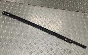 Toyota Yaris Rear door glass trim molding 