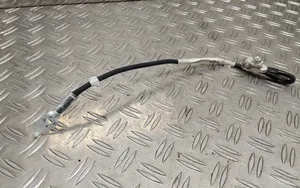 Toyota Yaris Cable negativo de tierra (batería) 821630D040
