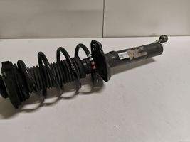 Volkswagen Eos Front shock absorber/damper 1T0413031HN