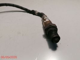 Honda Accord Sonda lambda 36531RL0G01