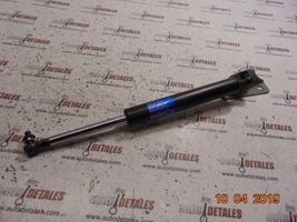 Honda Accord Tailgate/trunk strut/damper 