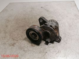 Hyundai i30 Tendicinghia generatore/alternatore 25281-2A200