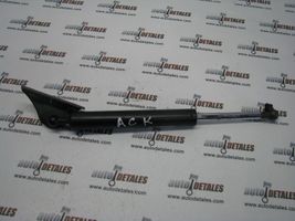 Honda Accord Tailgate/trunk strut/damper 