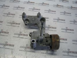 Toyota Sienna XL30 III Tendicinghia generatore/alternatore 