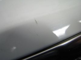 Mercedes-Benz GL X164 Listón embellecedor de la puerta delantera (moldura) A1646902862