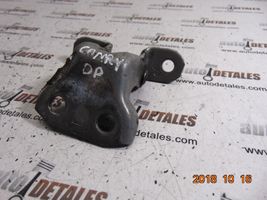 Toyota Camry Front door lower hinge 