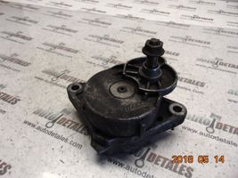 Mercedes-Benz C AMG W203 Napinacz paska alternatora A1122000370