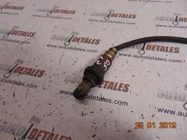 Toyota Corolla Verso AR10 Sonde lambda 8946505080