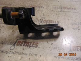 Mitsubishi Space Wagon Front door lower hinge 