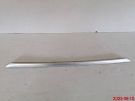 Mercedes-Benz GL X164 Rivestimento del vano portaoggetti del cruscotto A1646830170