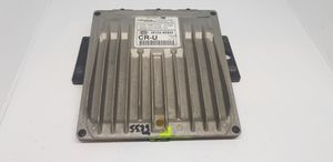 KIA Carnival Sterownik / Moduł ECU 391024X520