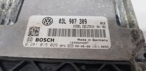 Volkswagen PASSAT CC Sterownik / Moduł ECU 03L907309