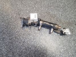 Citroen C6 EGR-venttiili 4R8090475B